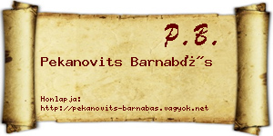 Pekanovits Barnabás névjegykártya